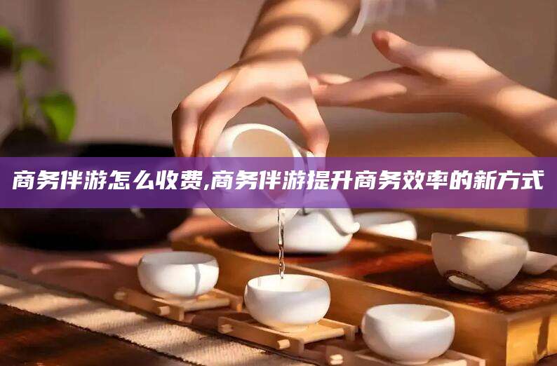 响水商务伴游怎么收费,商务伴游提升商务效率的新方式